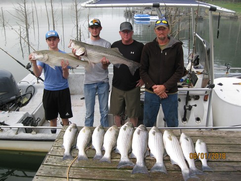 Nice Striped Bass